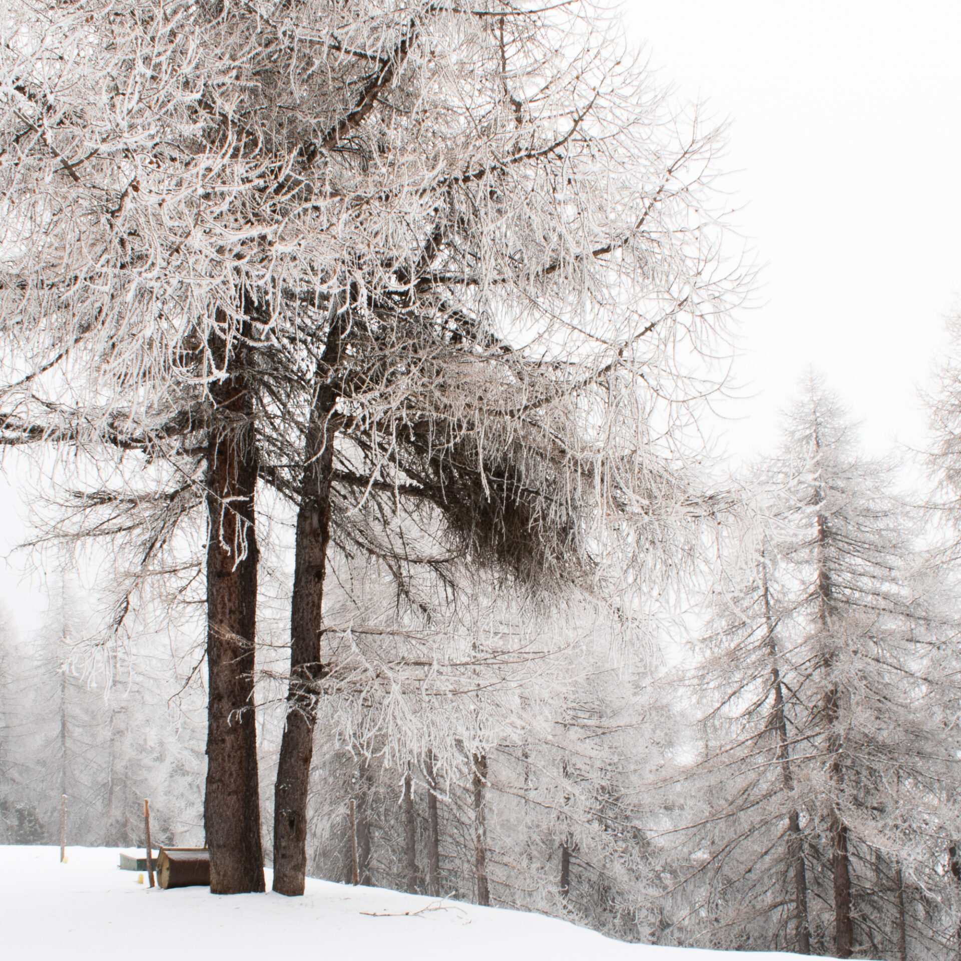 Inverno a Sampeyre: sport, relax e magia tra le cime innevate